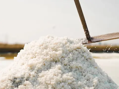 A heap of coarse salt crystals with a wooden rake